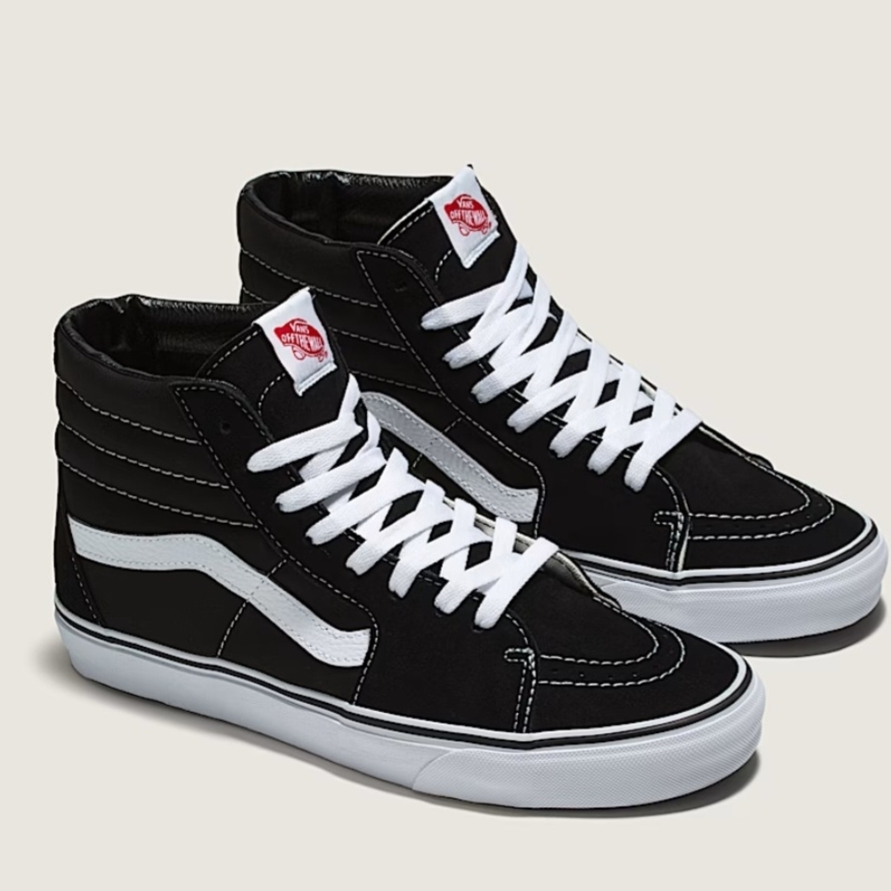 Vans Black Suede Sk8ter High Top Sneakers